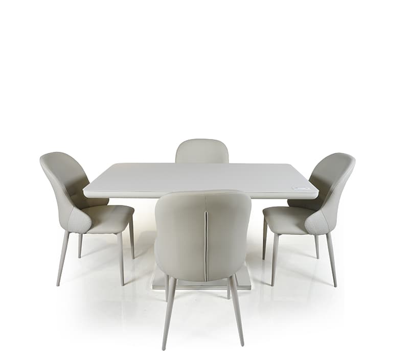 Posh Model 4 Seater – image 3