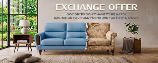 Exchange Offer