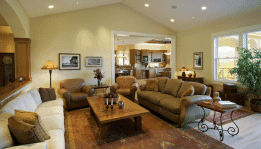 WHAT ARE THE BEST IDEAS TO DECORATE THE LIVING ROOM?