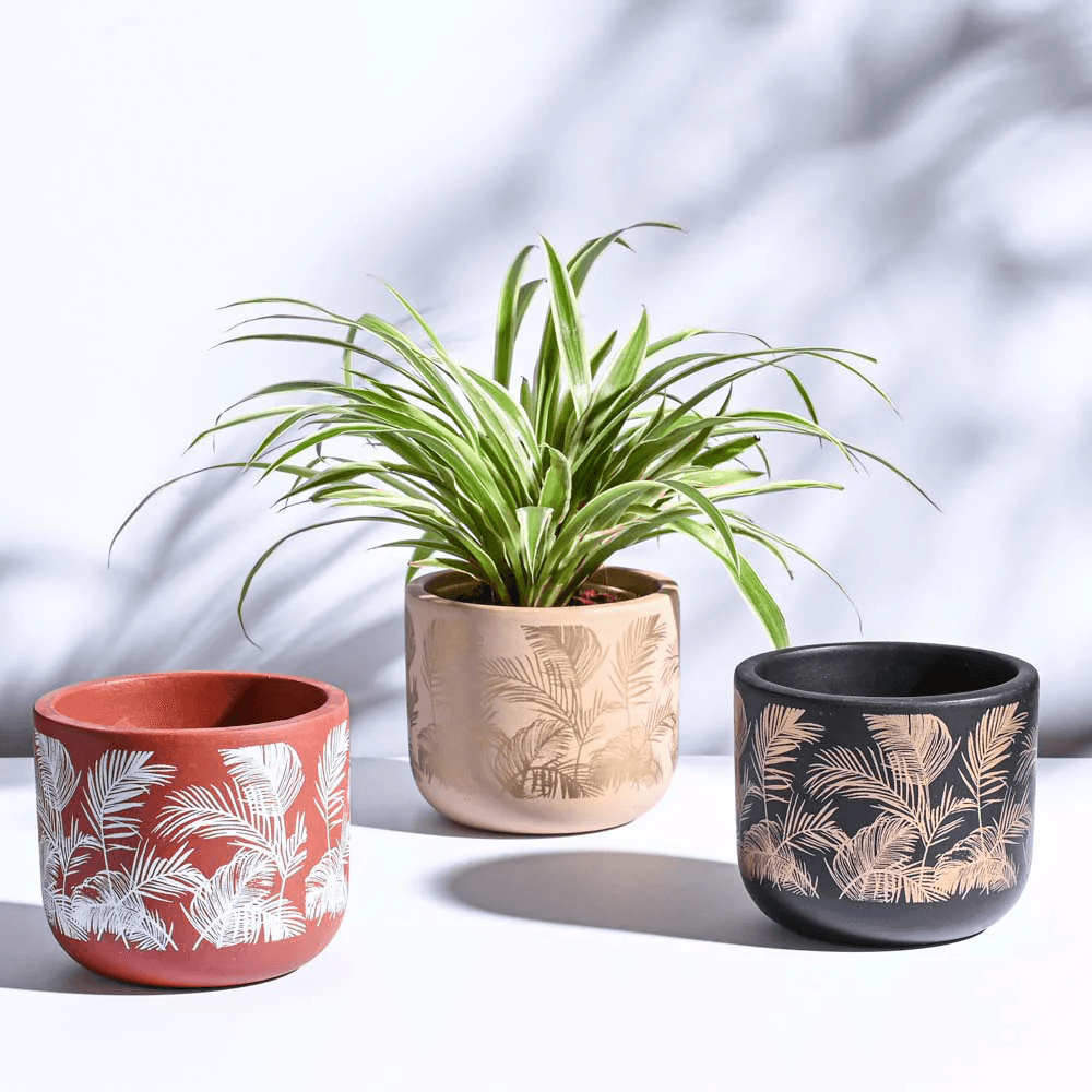 Flower Pots & Planters