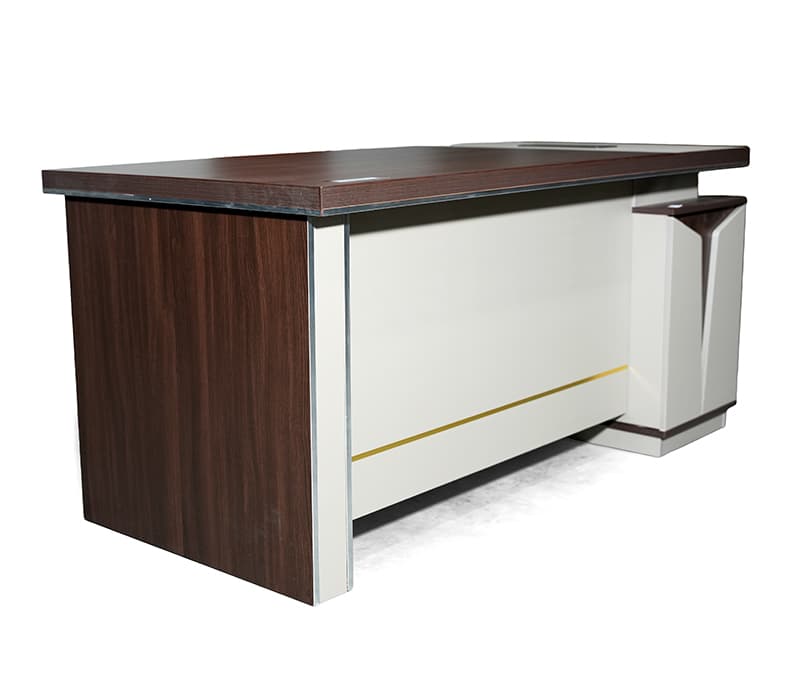 Executive Model – image 4